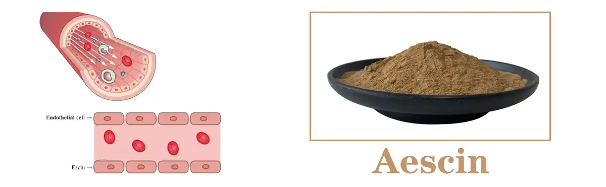 Aescin Sale.jpg Aescin Sale.jpg